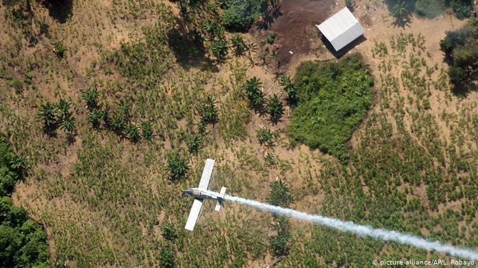 DW: El Catatumbo, tierra incógnita entre Colombia y Venezuela al mando de narcotraficantes