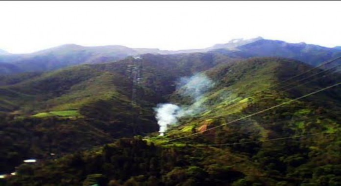 Parque Sierra Nevada de Mérida es deforestado por escasez de gas