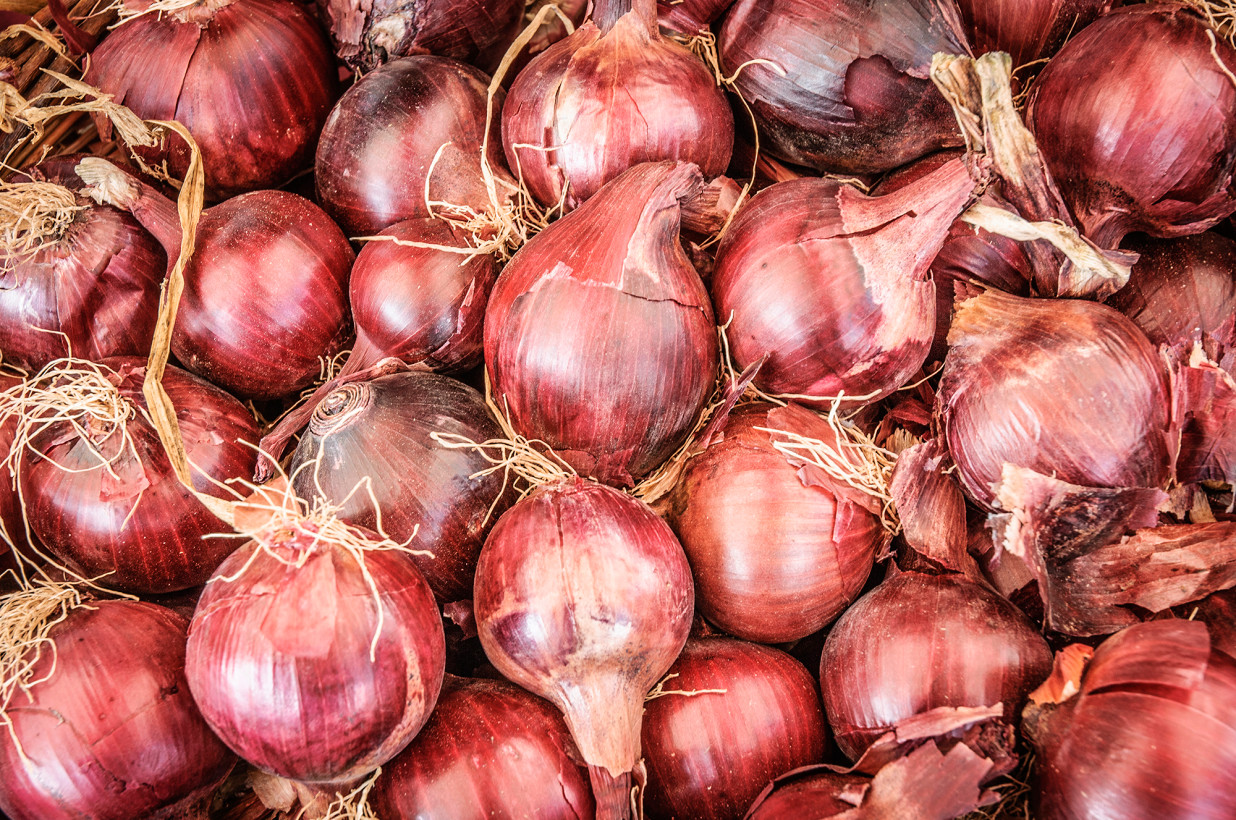 Las cebollas rojas de California podrían ser la fuente del brote de salmonella en 34 estados