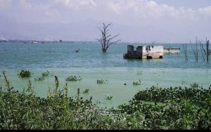Crecimiento descontrolado del Lago de Valencia pone en riesgo a 40 mil personas