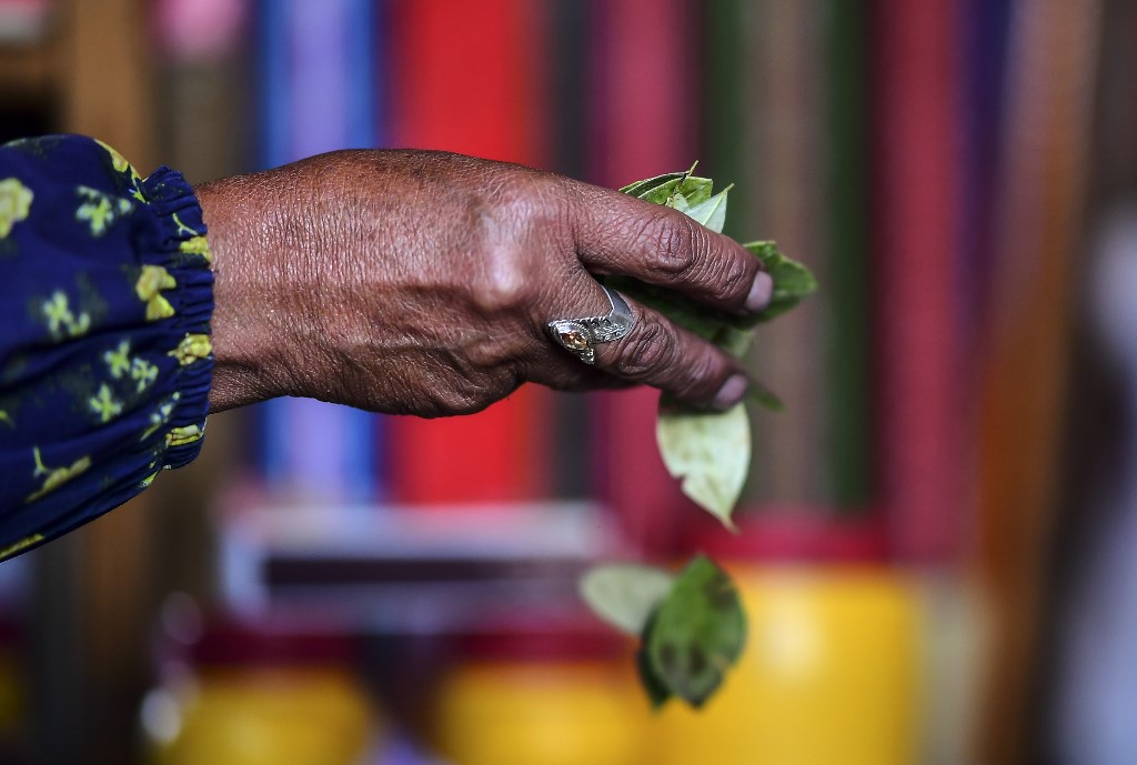 Chamanes consultan a la coca para adivinar quién será el próximo presidente en Bolivia