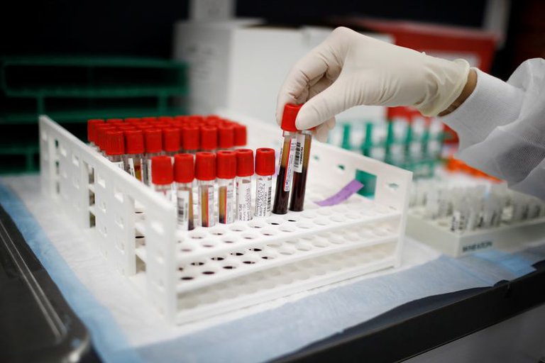 Coronavirus: Florida agregó más de 1.700 nuevos contagios en las últimas 24 horas