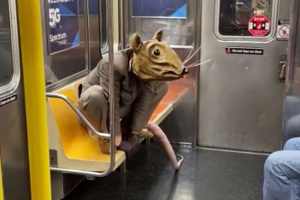 ¡Increíble, pero cierto! Una “rata” gigante viajó en el metro de Nueva York (Video)