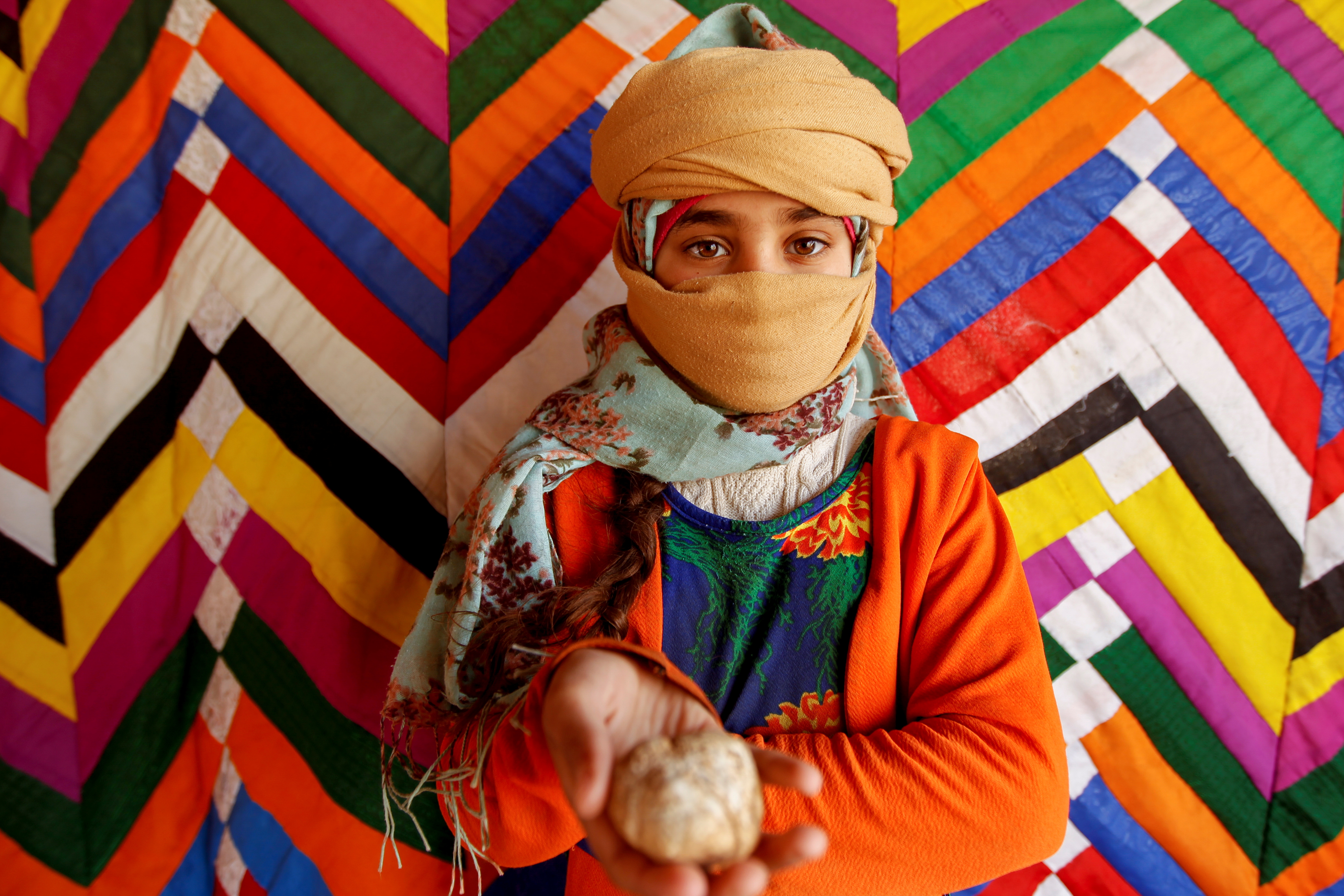 “Una bendición de Dios”: Cazadores de trufas iraquíes desentierran la cosecha del desierto (Fotos)