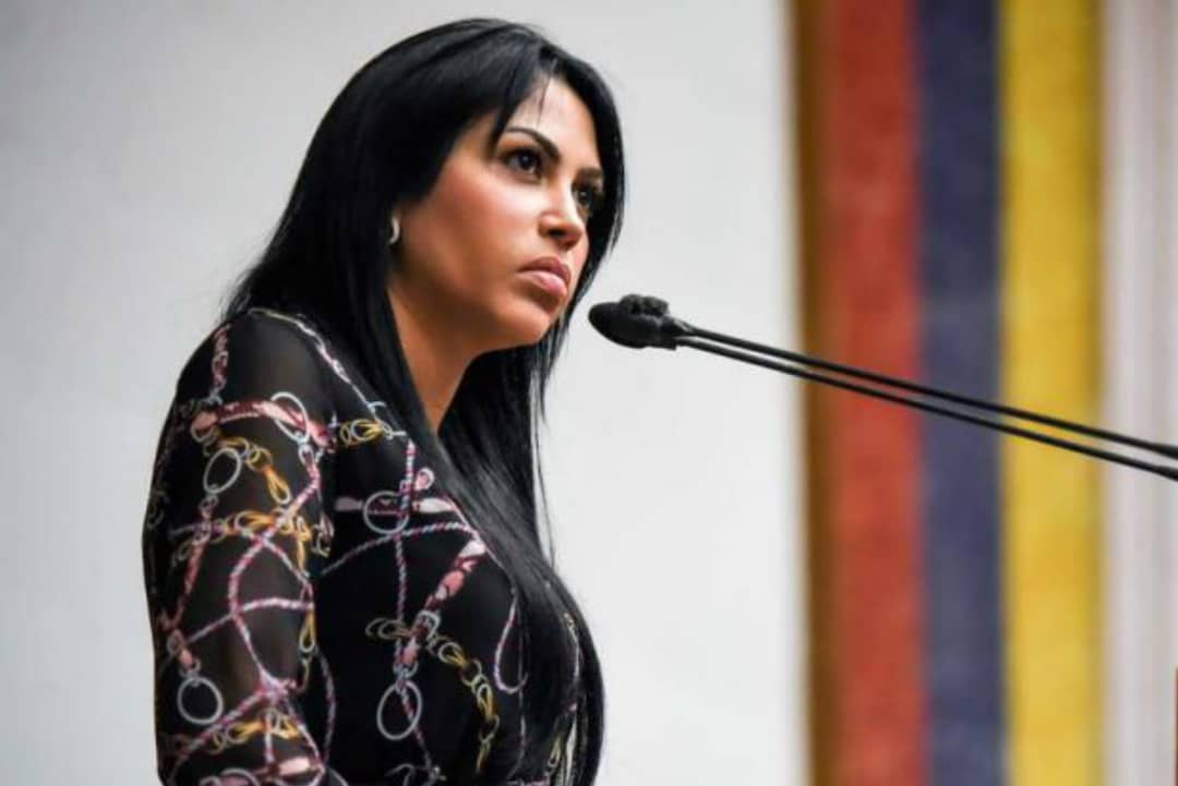Delsa Solórzano: Hemos construido bases sólidas para la transición de Venezuela