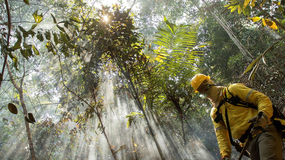 Día de la Tierra, una celebración entre la diplomacia ambiental y la pandemia