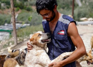 La crisis de Líbano obliga también a separarse de las mascotas