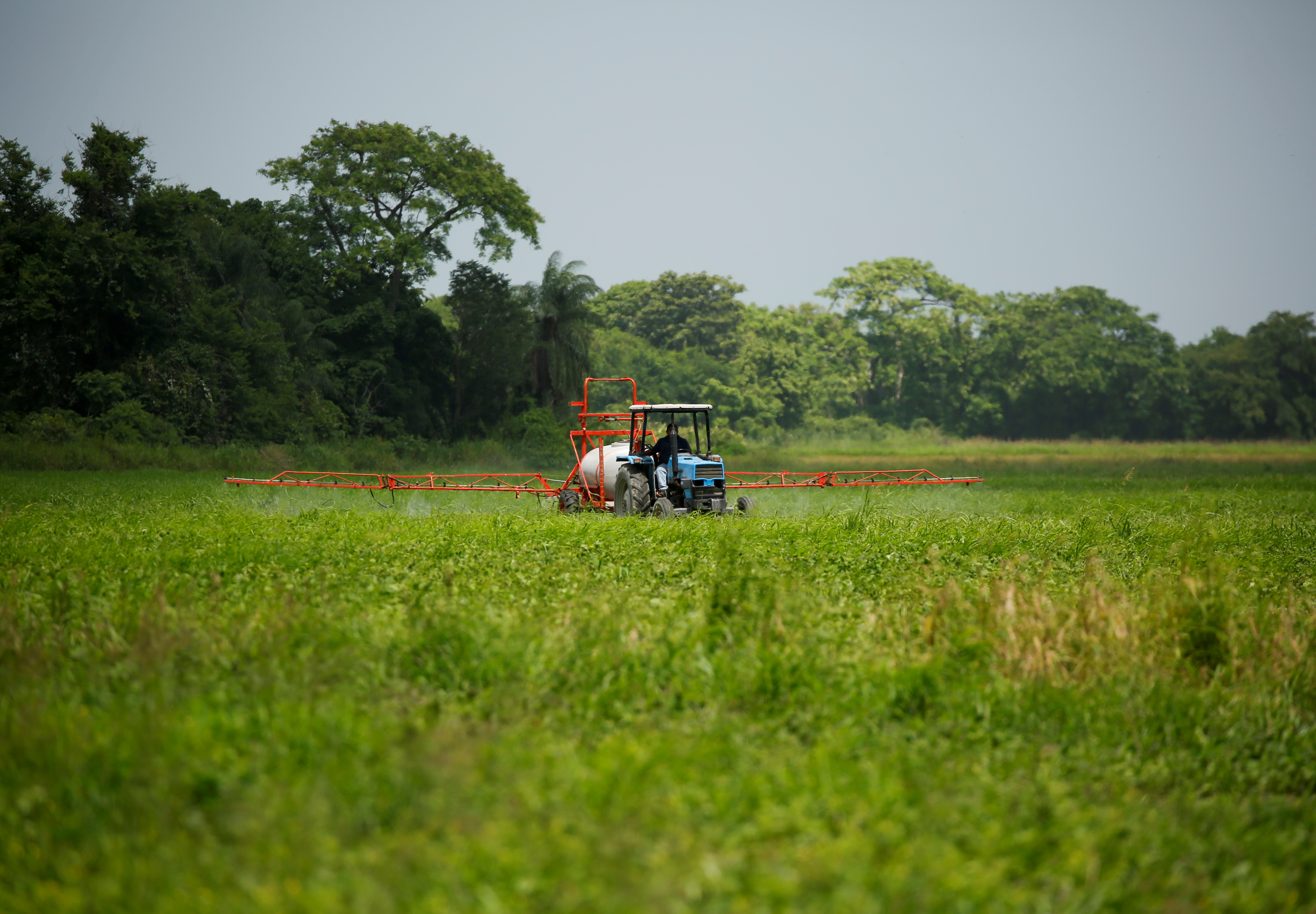 El racionamiento de diésel paraliza la agricultura venezolana