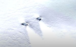 Misterio en la Antártida: Captaron dos presuntos ovnis emergiendo de la nieve (Video)