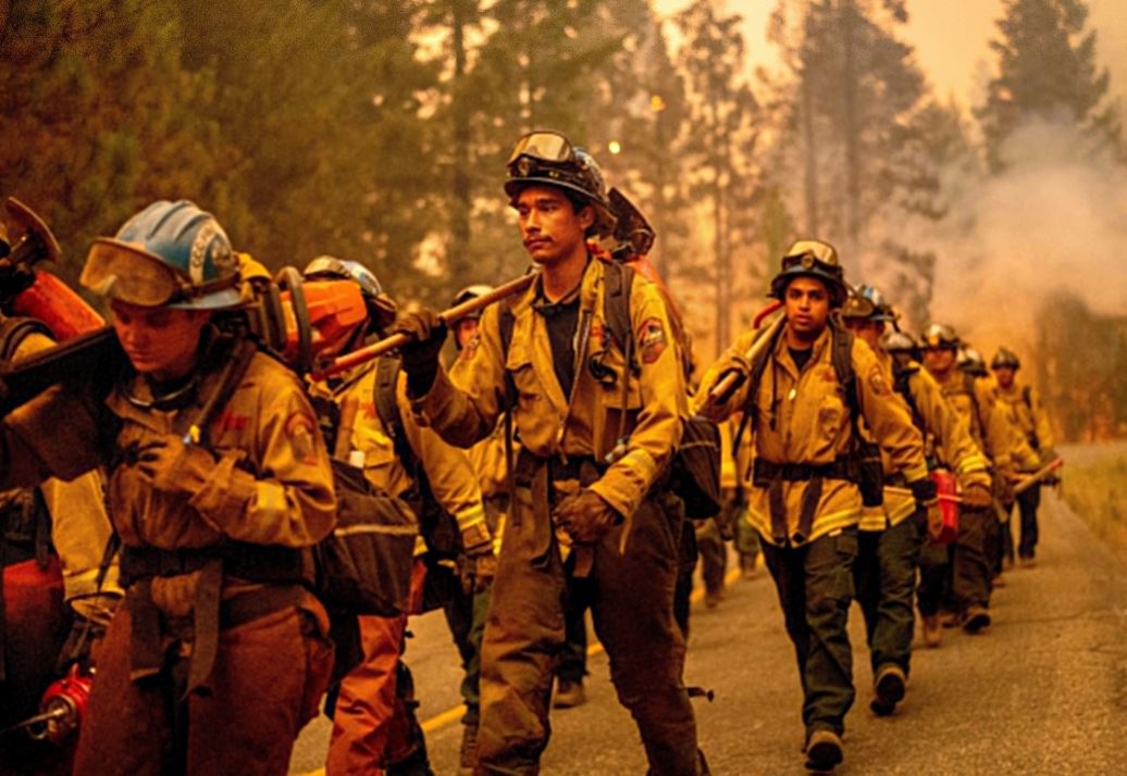 Bomberos de otros estados van a Montana para combatir incendio forestal