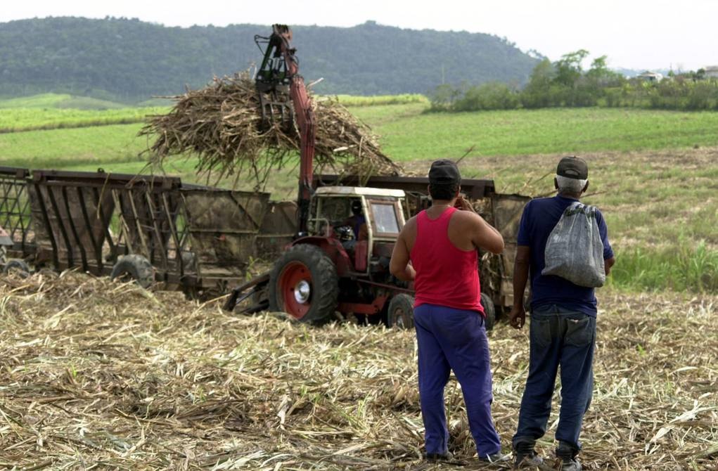 Cuba cierra una de las peores zafras azucareras de su historia