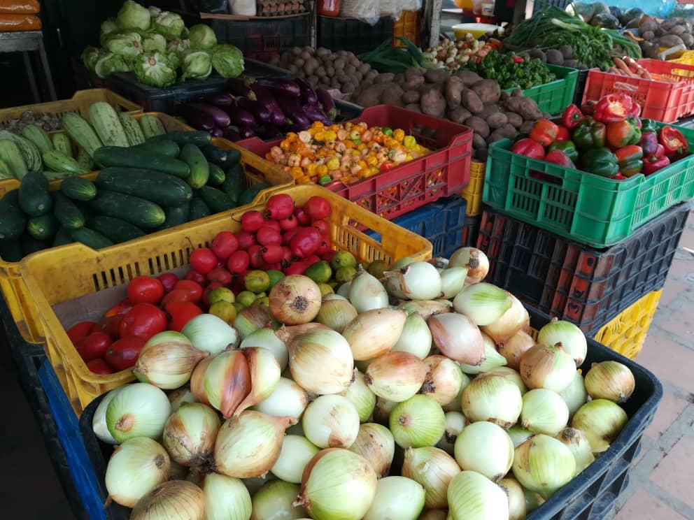 Alarma en Guárico: Menos del 10% de las familias pueden costear la canasta alimentaria