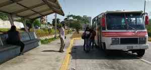 El 75% de las unidades de transporte público están paralizadas en Margarita