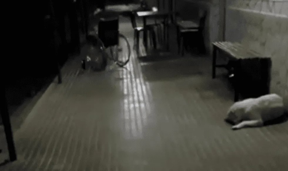 “Fantasma” de una anciana se paseó en silla de ruedas por los pasillos de un hospital (VIDEO)