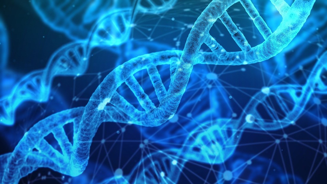 Científicos rastrean una rara enfermedad genética registrada recientemente en EEUU y que data del siglo XVIII