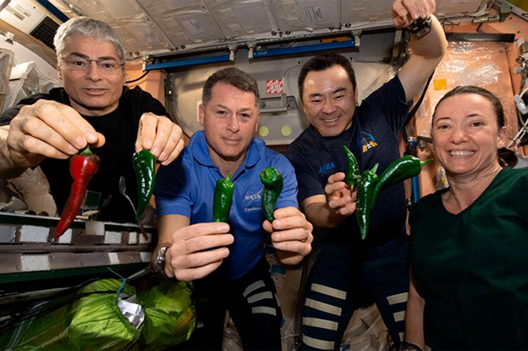La razón por la que astronautas de SpaceX se vieron obligados a usar pañales en su regreso a la Tierra