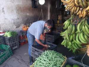 Un “lujo” impagable: tachirenses olvidaron el sabor del plátano ante la pobreza que aniquila sus bolsillos