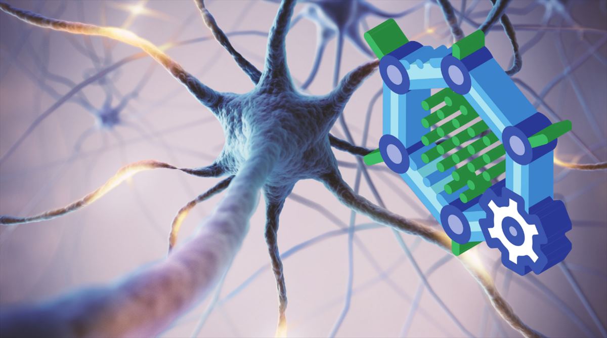 Desarrollan sondas neuronales de grafeno que detectan señales epilépticas