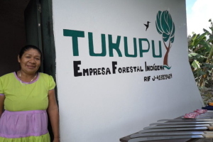 Tukupu: Las mujeres Kariña guardianas de los bosques en Venezuela