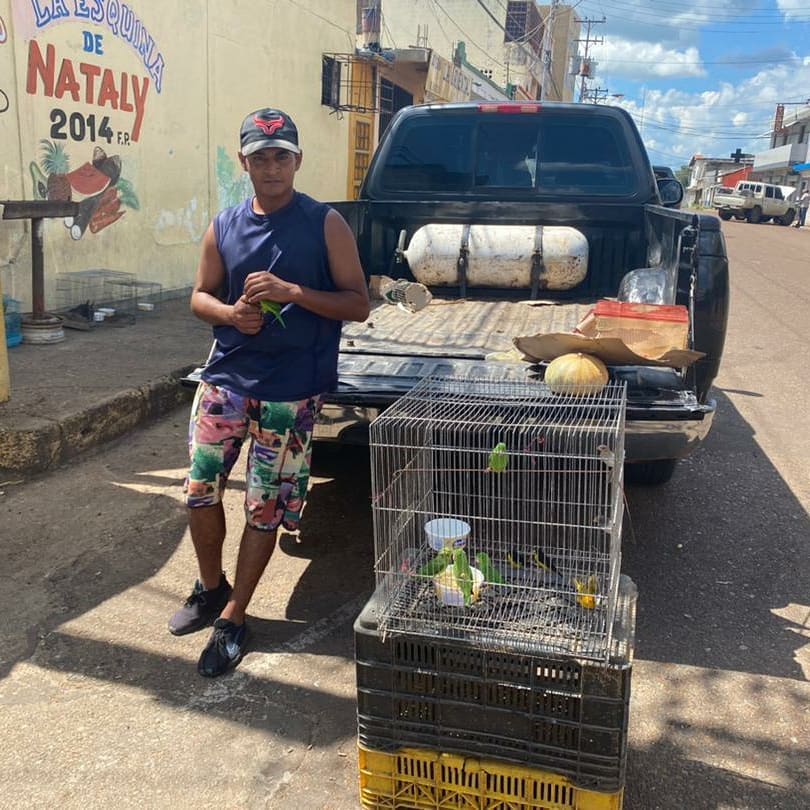 Tráfico de animales, lo que esconden las peligrosas carreteras del oriente venezolano