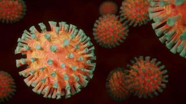 Descubren nuevo mecanismo que bloquea al coronavirus: la inmunidad innata… Te explicamos de qué se trata