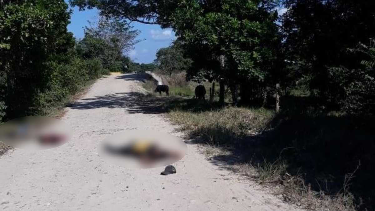 Desgarrador testimonio de sobreviviente a masacre de Arauca