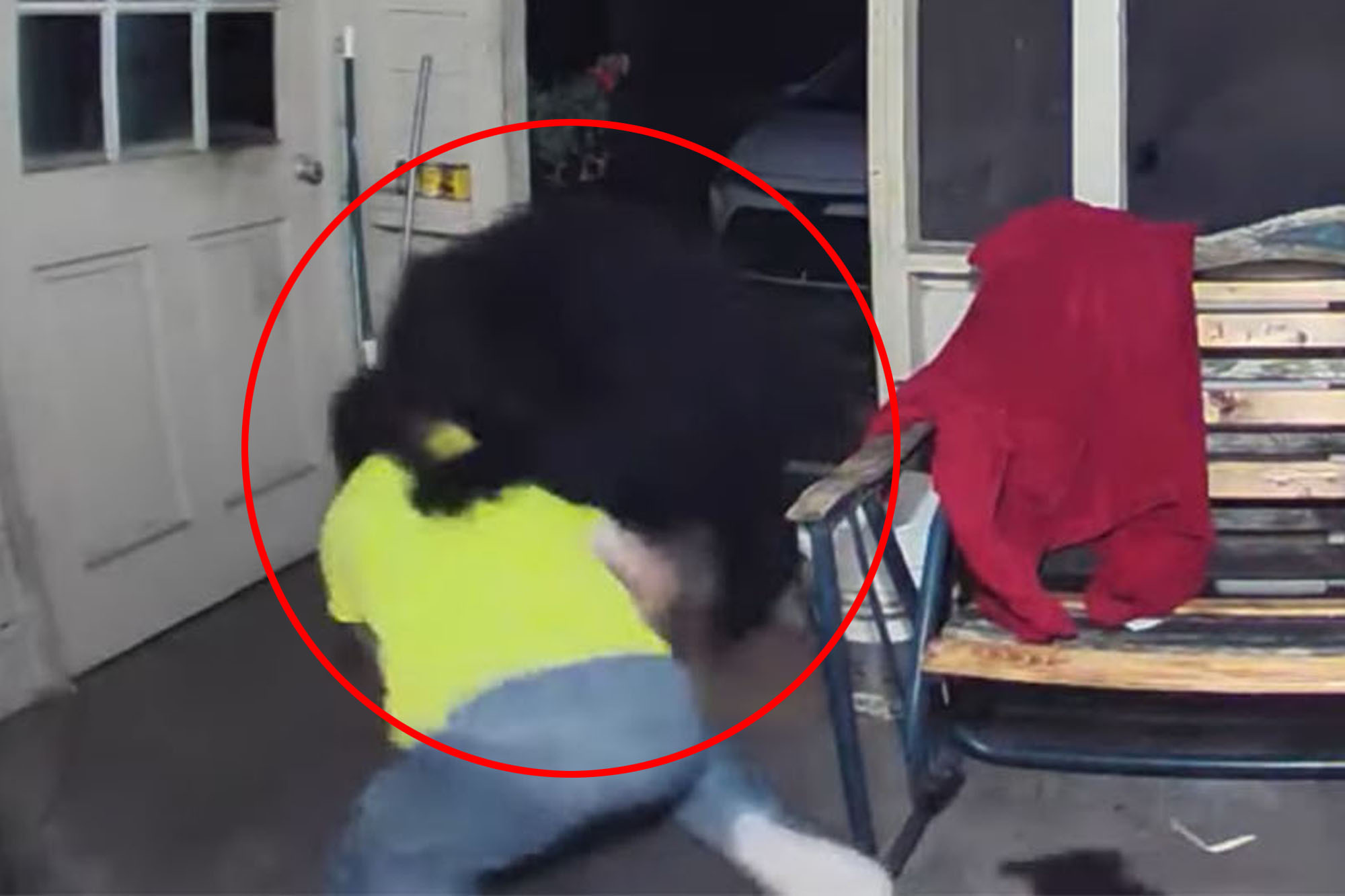 Escalofriante VIDEO muestra a un hombre luchando contra un oso para proteger a sus perros en Florida