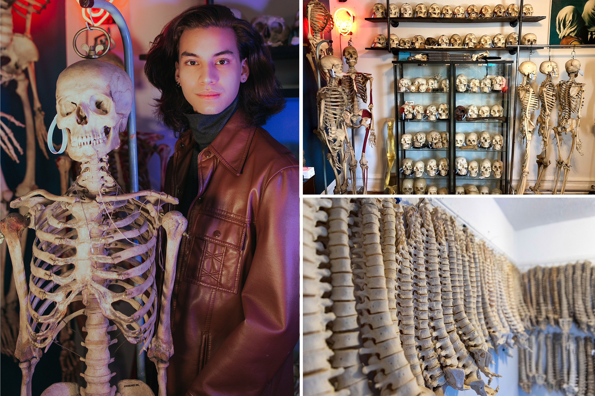 El coleccionista de huesos: Este hombre de Nueva York tiene más de 200 esqueletos, espinas y cráneos en su casa (Fotos)