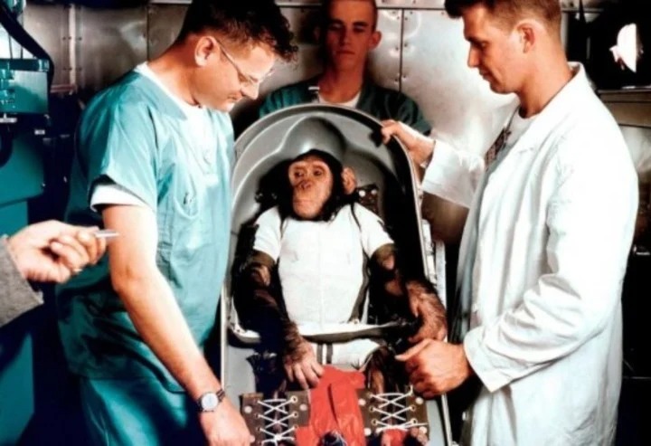 La historia de Ham, el chimpancé que la Nasa entrenó y envió al espacio