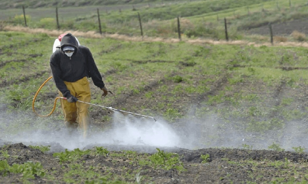 Existe un déficit de 50 mil toneladas de fertilizante en Venezuela