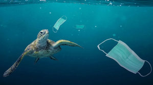 Basura en los océanos, una pesadilla plástica que provoca más daño del que se podría imaginar