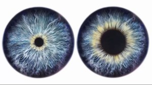 Desde alzhéimer hasta otras afecciones neurológicas: lo que tus ojos pueden revelar de tu salud