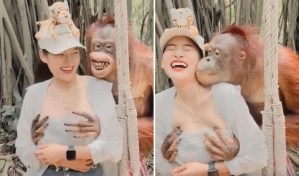 VIRAL: Orangután juguetón manoseó los senos de una mujer mientras le caía a besos (VIDEO)