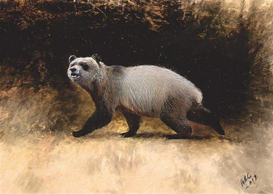 Científicos hallaron restos del último panda gigante europeo: vivió hace seis millones de años