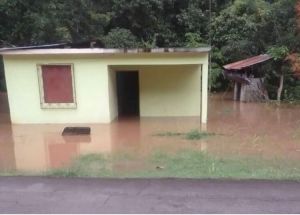 “La inundación se pudo haber evitado”: Vecinos acusan al régimen chavista por colapso en drenajes de Ciudad Guayana