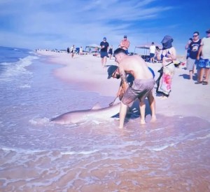 EN VIDEO: La feroz e intensa batalla de un hombre con un tiburón en playa de Nueva York