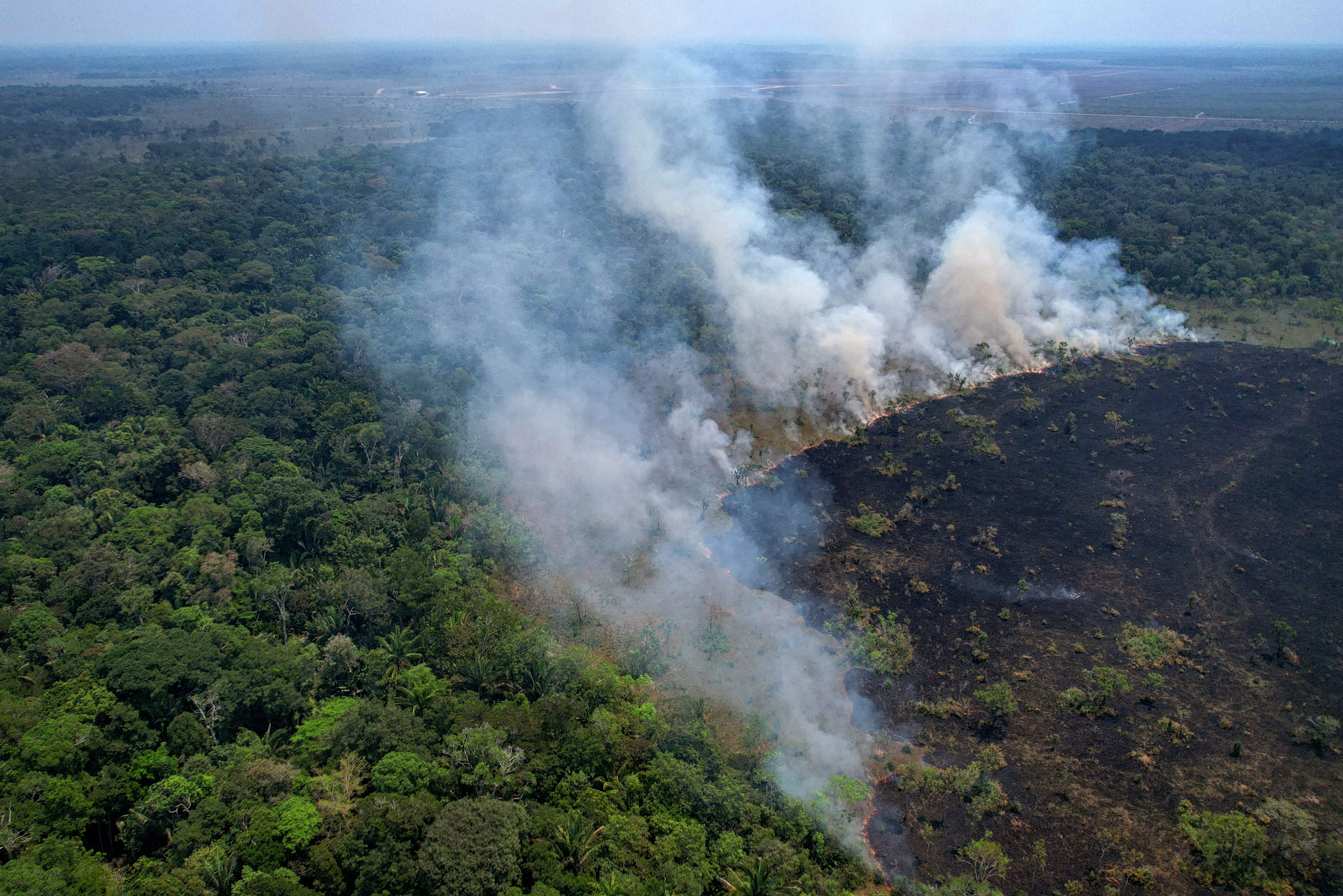 Los incendios en la Amazonía brasileña crecieron un 15,9 % en febrero