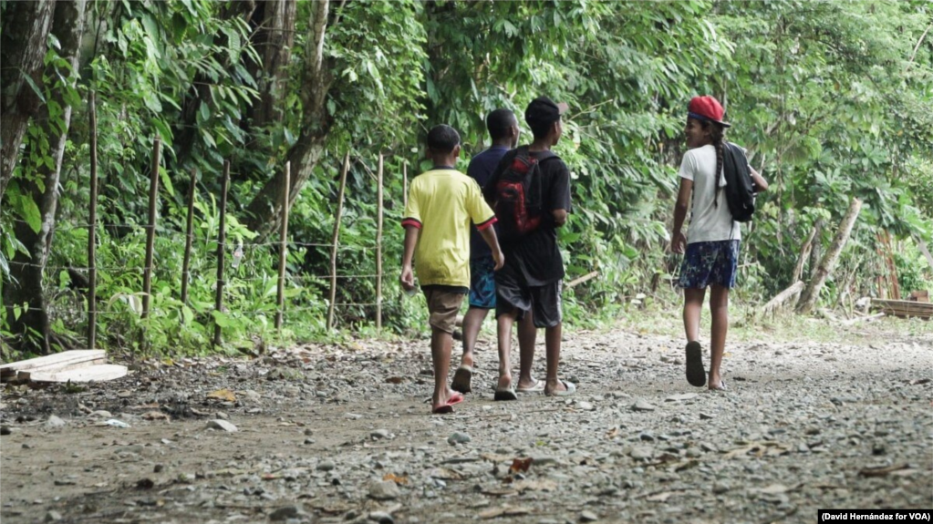 Panamá alertó en la ONU que migrantes “arriesgan sus vidas, enferman y mueren” en la selva del Darién