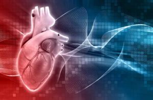 Las tres herramientas al alcance de todos que permiten reducir el riesgo de enfermedades cardiovasculares