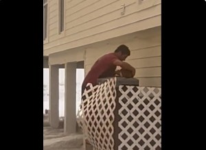 Todo un héroe: salvó a un gatito del azote del huracán Ian en Florida (Video + Awww)