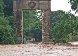 En VIDEO: Se desbordó el río Guárico a la altura del monumento La Puerta del Llano #6Oct