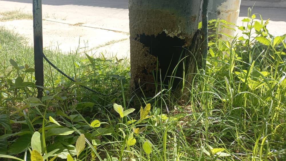 Exigen a Corpoelec sustituir transformadores y postes corroídos en urbanización La Arboleda en Margarita