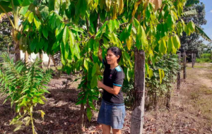 Las mujeres rurales en Venezuela:  Invisibles para la producción y la propiedad (informe Cesap)
