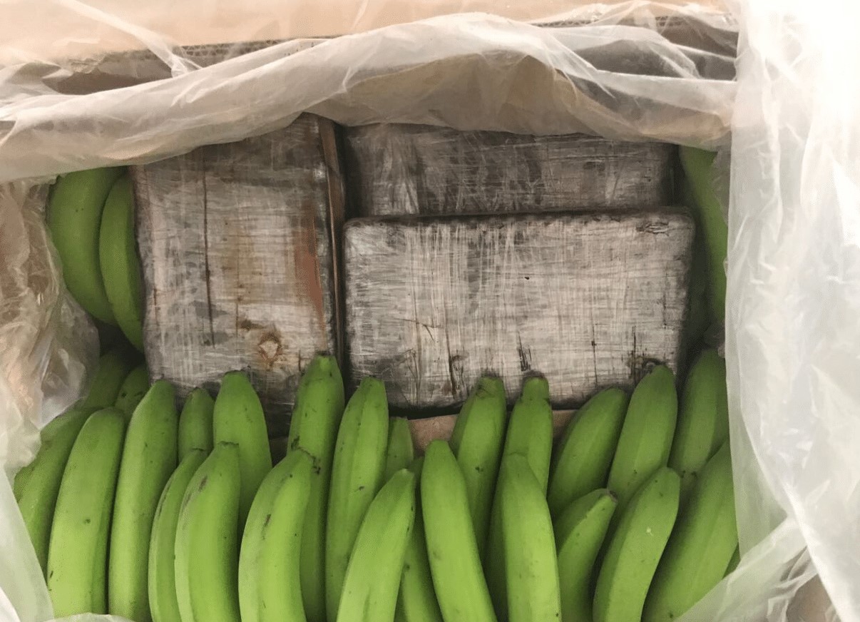 Hallan más de 70 kilos de cocaína de Ecuador oculta entre bananas en un puerto de Roma