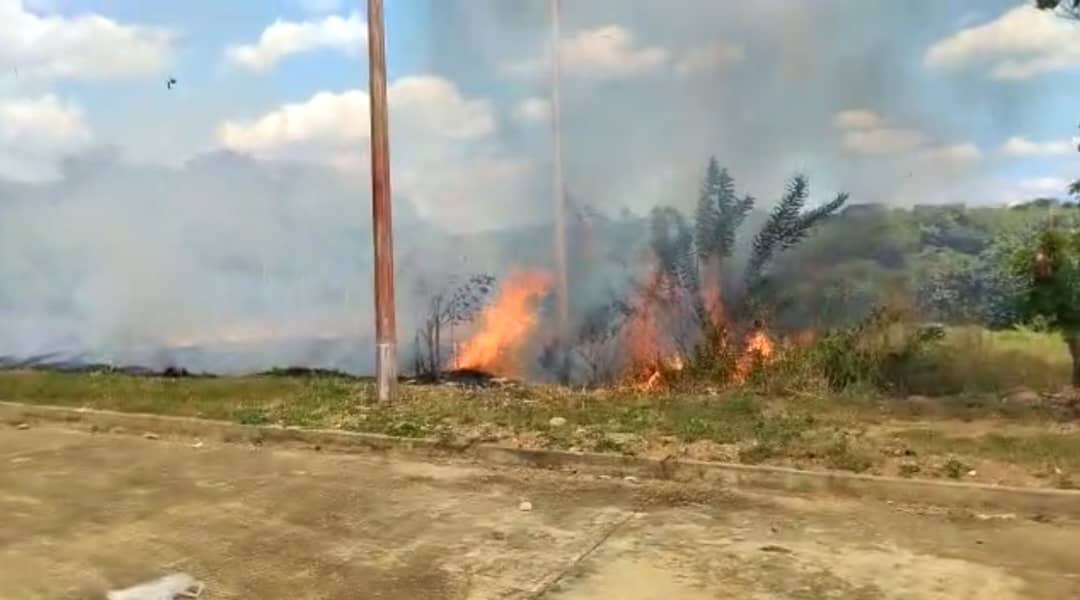 Incendio forestal afectó a residentes de apartamentos de Ciudad Tavacare en Barinas