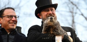La marmota Phil hizo su predicción y todos tiemblan en Estados Unidos