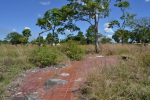 El Parque del Este de Maturín tiene 15 años abandonado por el chavismo… ahora es un nido de malandros