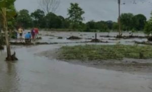 Se necesitan recursos para atender emergencia por desbordamiento de ríos en El Vigía