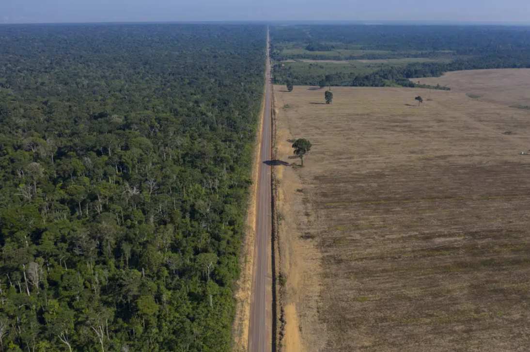 El narcotráfico, vinculado al asesinato de indígenas y la deforestación de la Amazonía, según informe ONU