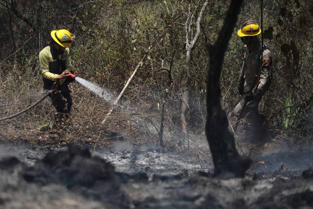 Chavismo creó “comando” de 30 mil personas para luchar contra incendios forestales